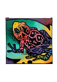 a colorful painting of a frog on a black background